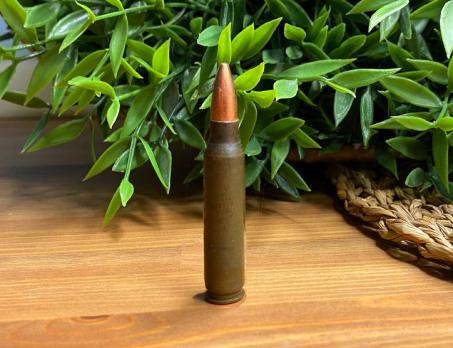 Учебный патрон ММГ 5.56х45 мм (223.Rem NATO)